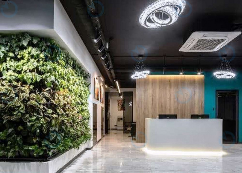 THE RESIDENT - фото 5