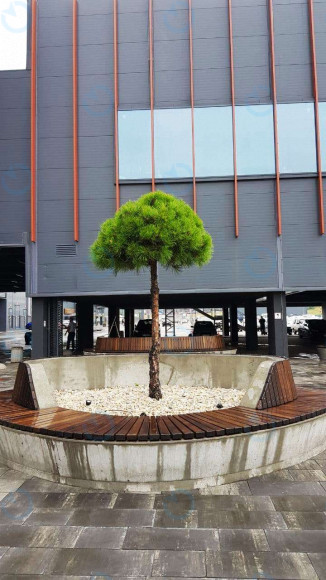 Retroville - фото 7