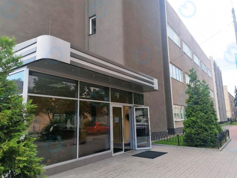 Ариадна - фото 4