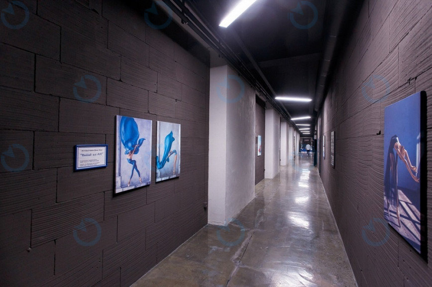 Inlight - фото 11