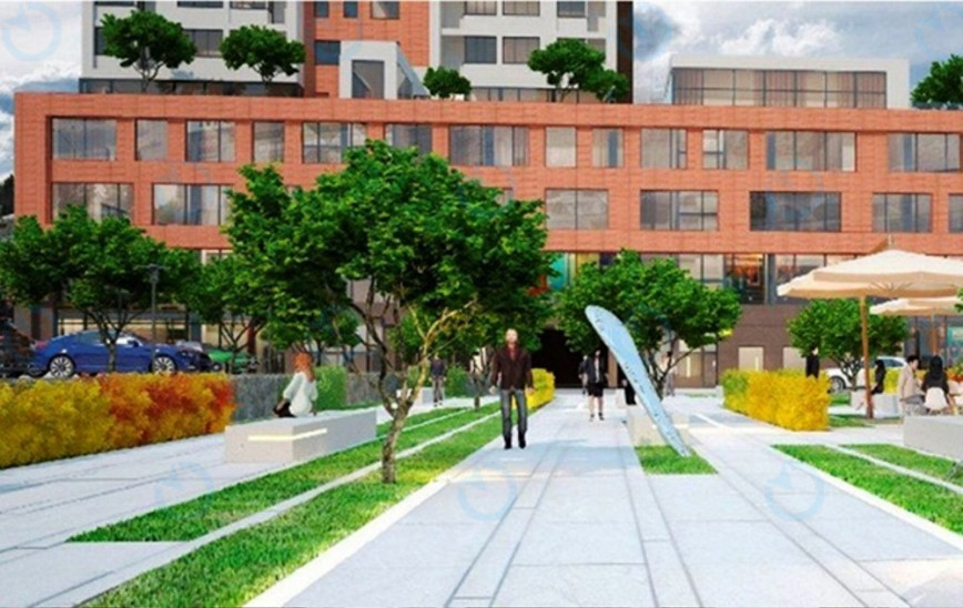 Dyvosvit - фото 3