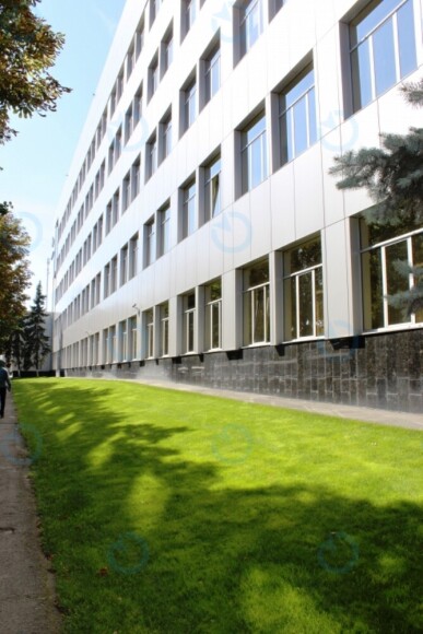 ИРВА - фото 8