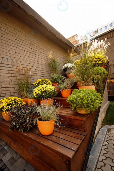 INFINITY (ИНФИНИТИ) - фото 10