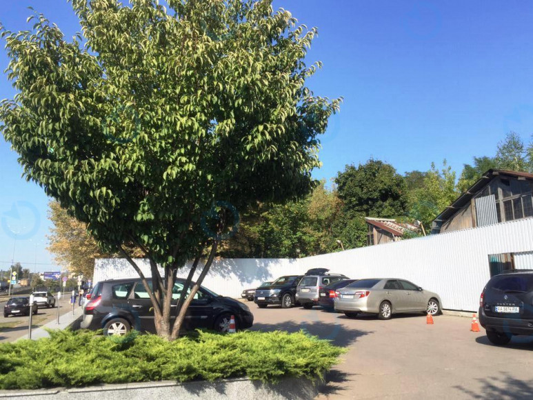 Столичный - фото 6