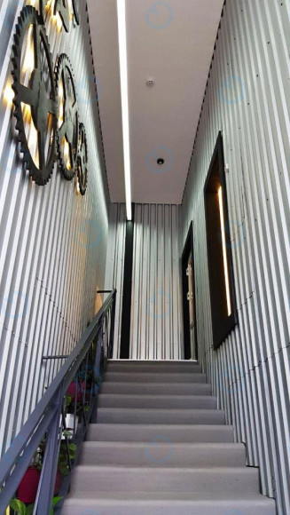 Трін - фото 4