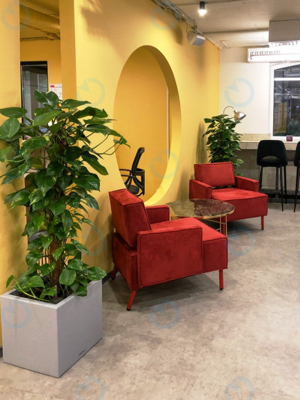 Боричів Тік, 35В - фото 14