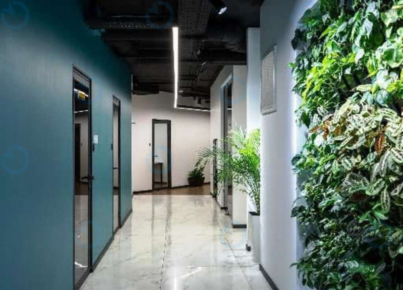 THE RESIDENT - фото 9