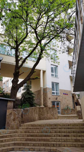 Lucky.net - фото 6