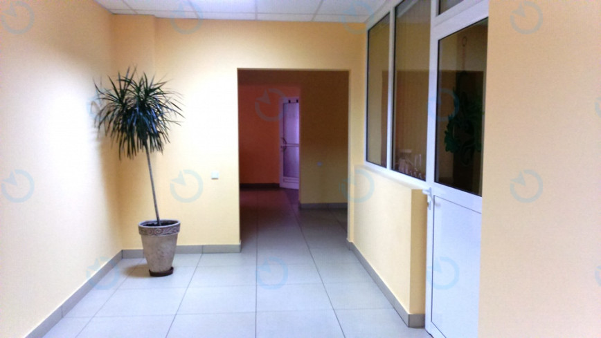 Ариадна - фото 7