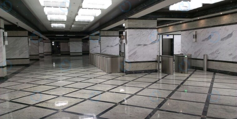 Сенатор - фото 5