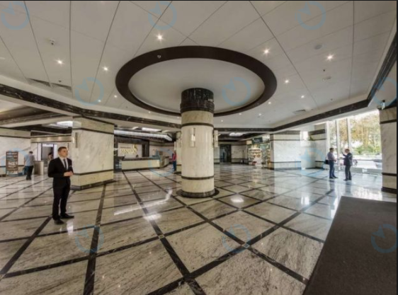 Сенатор - фото 2