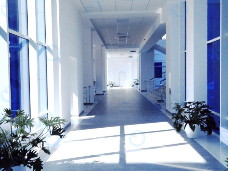 VICTORIA PARK (Виктория Парк) - фото 3