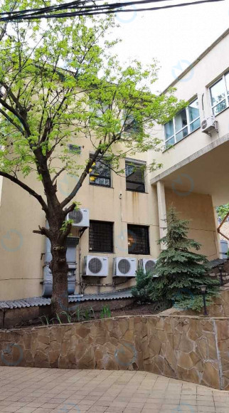 Lucky.net - фото 9