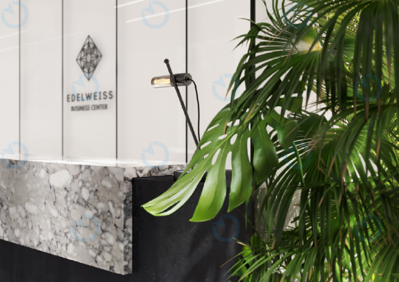 Эдельвейс - фото 4