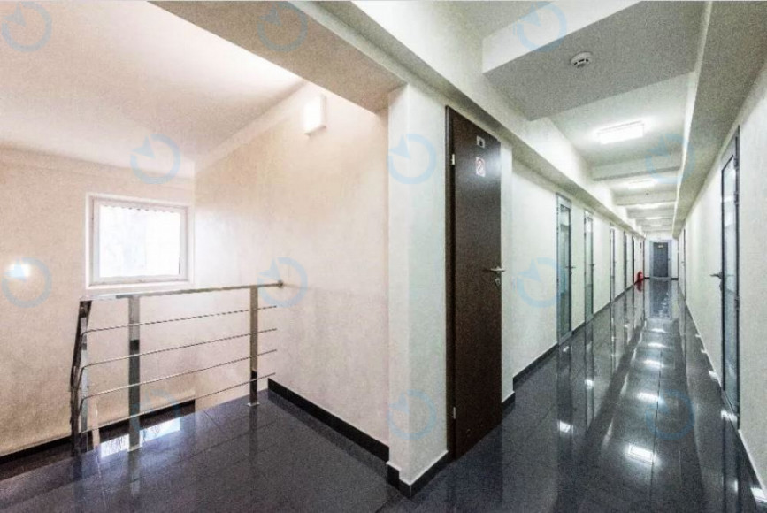 Интеллект - фото 4