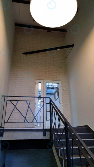 Трін - фото 6