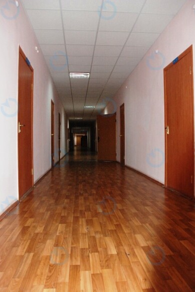 Основа - фото 3