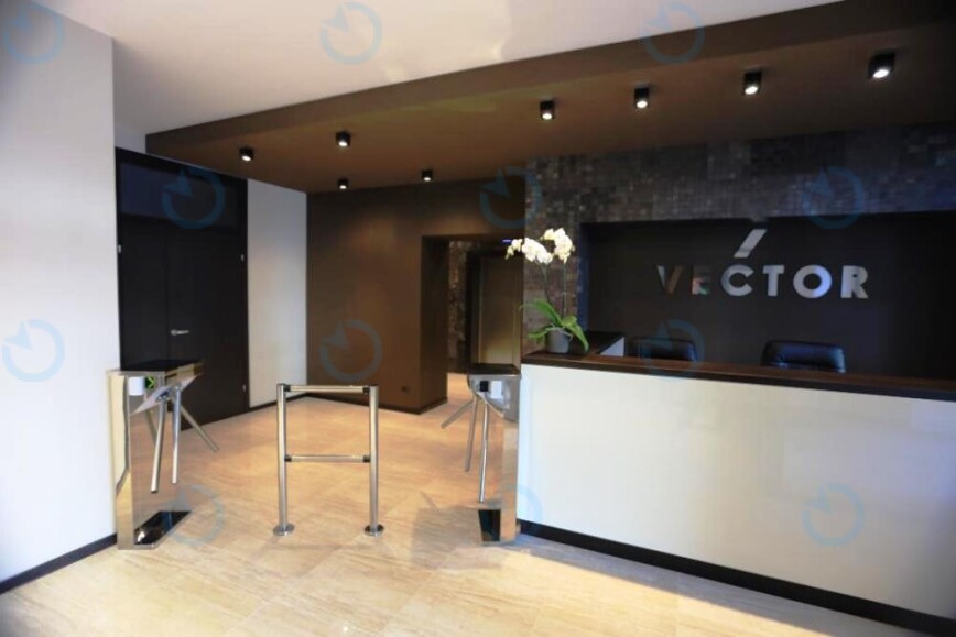 Vector - фото 5