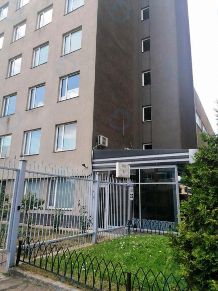 Ариадна - фото 2