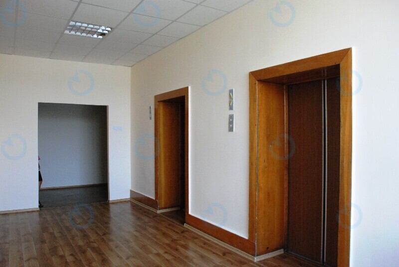 Основа - фото 4