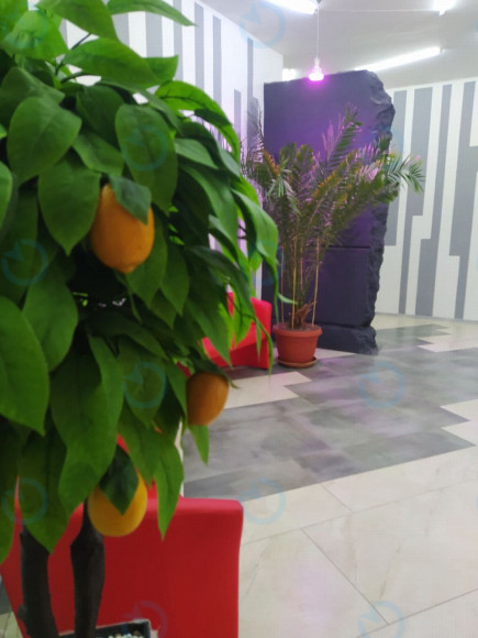 City Zen Park - фото 14