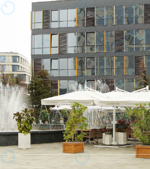 Зоряный - фото 3