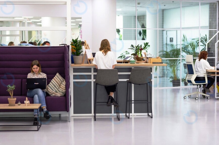 New Work Labs - фото 4