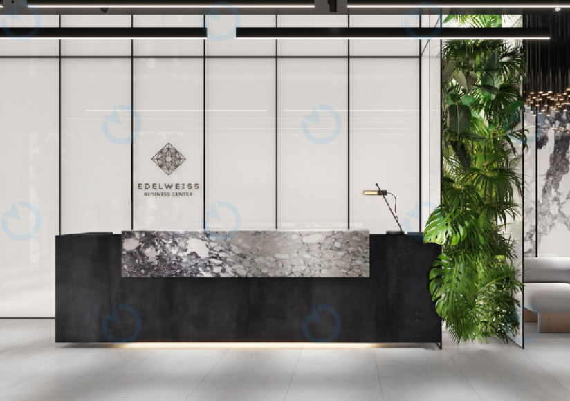 Эдельвейс - фото 3