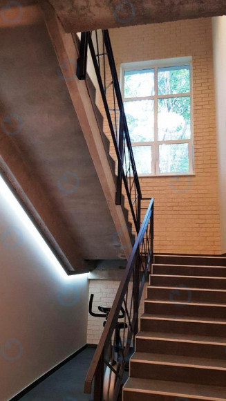 Трін - фото 5