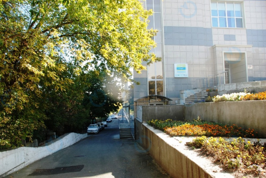 Тандем - фото 6