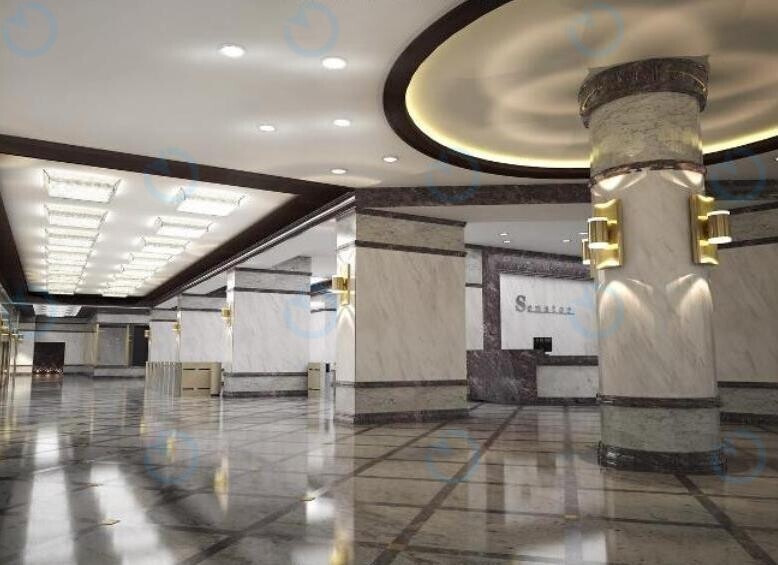 Сенатор - фото 3