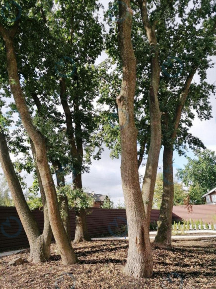 ЕВРООТЕЛЬ «VOLNA» - фото 8