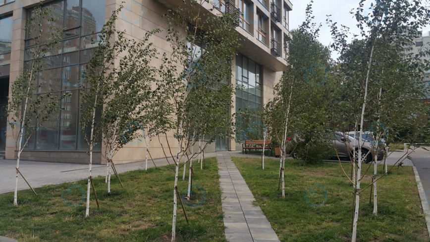 ЖК Hoffman Haus - фото 5