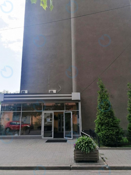 Ариадна - фото 3