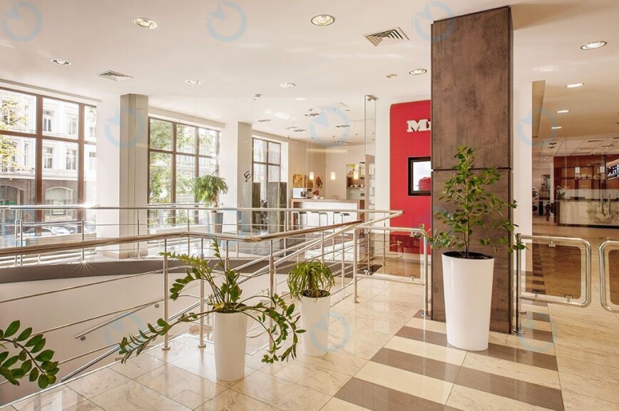 Прайм (Prime) - фото 5