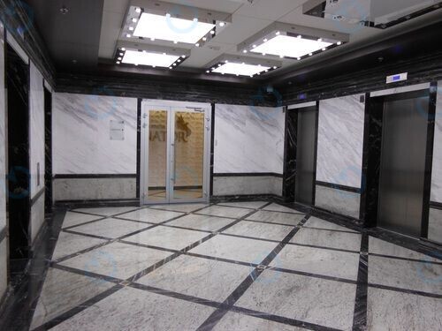 Сенатор - фото 6