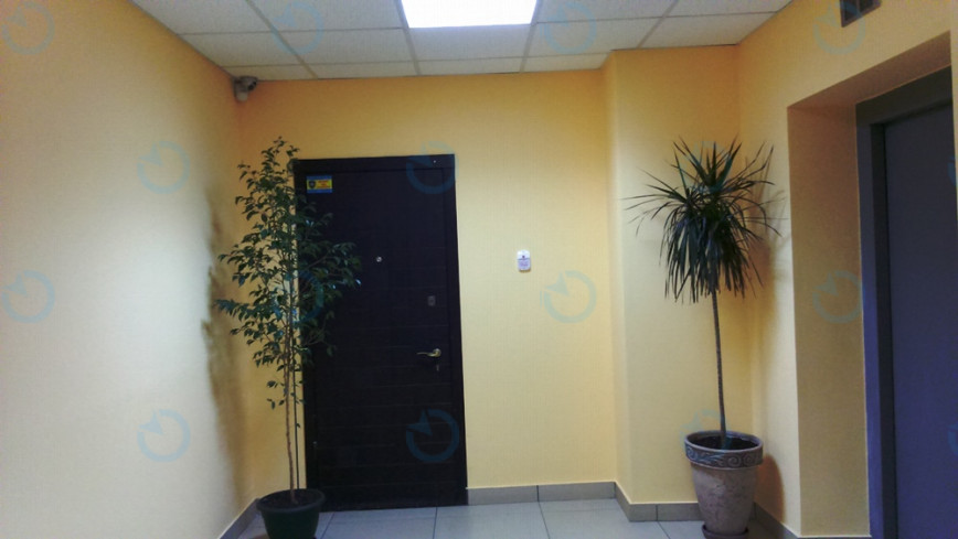 Ариадна - фото 8