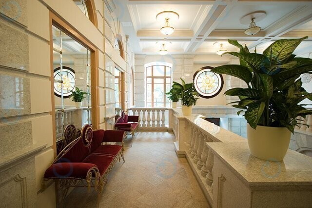 Ренессанс - фото 5