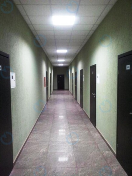 Курс - фото 7