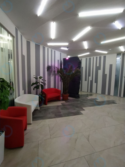 City Zen Park - фото 13