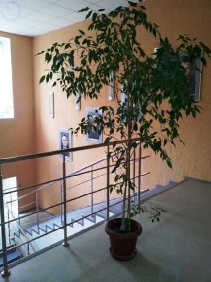 Курс - фото 6