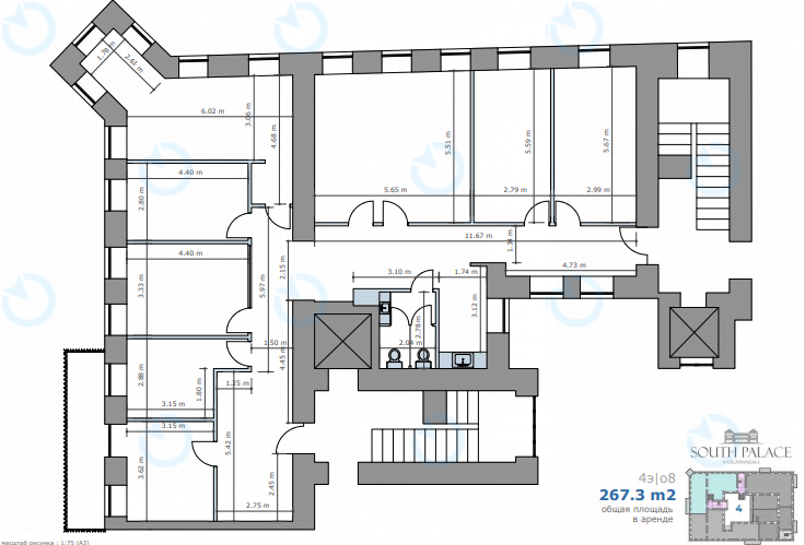 Аренда офиса 267 м.кв 4 этаж Южный Дворец - фото 22