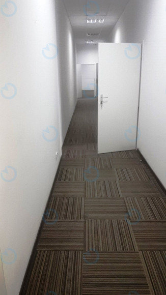 Аренда офиса 732 м.кв 2 этаж Форум Парк Плаза - фото 4