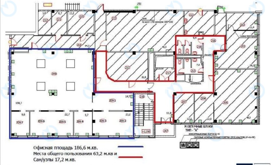 Аренда офиса 213 м.кв 2 этаж ИЛТА - фото 5