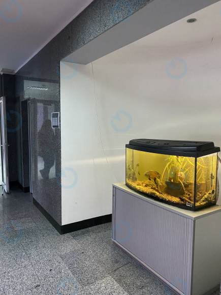 Аренда офиса 55 м.кв 2 этаж Кронос - фото 7