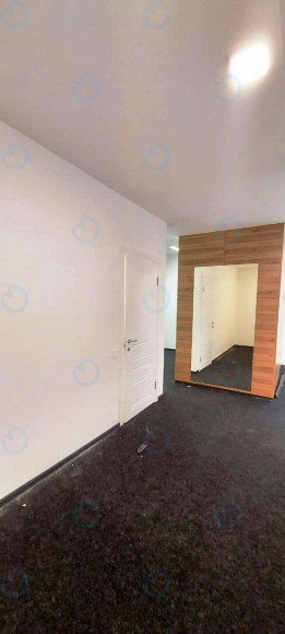 Аренда офиса 136 м.кв 2 этаж Форум Деловой Городок - фото 3