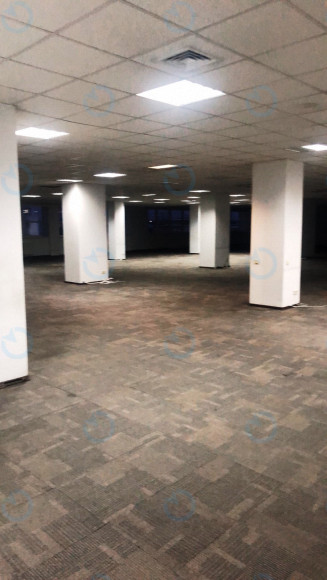 Аренда офиса 847 м.кв 4 этаж Форум Парк Плаза - фото 2