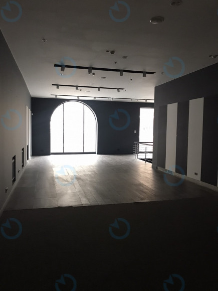 Аренда офиса 257 м.кв 1 этаж Владимирская 38 - фото 8