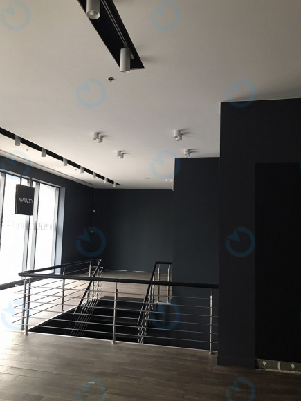 Аренда офиса 257 м.кв 1 этаж Владимирская 38 - фото 7