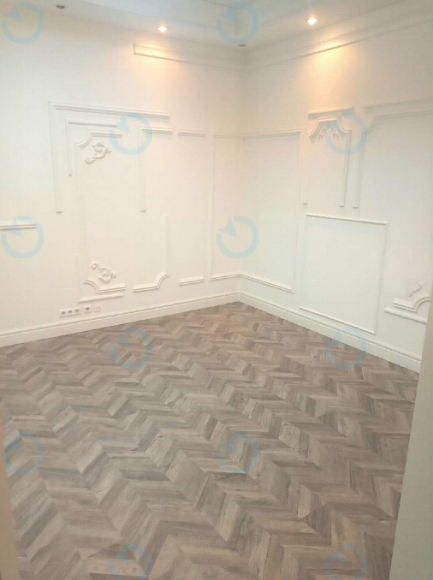 Оренда офісу 82 м.кв 3 поверх Жилянська, 146